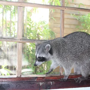 Appartement Close To The Town Utopia, Isla Holbox
