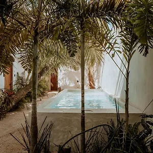 Appartement & Madre Self-check In, Isla Holbox