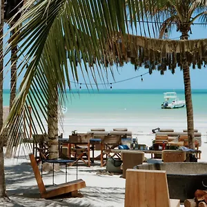 Casa Tortugas Petit & Isla Holbox